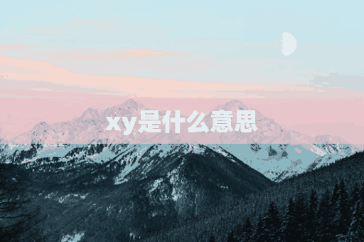 xy是什么意思(xy是什么意思的缩写)